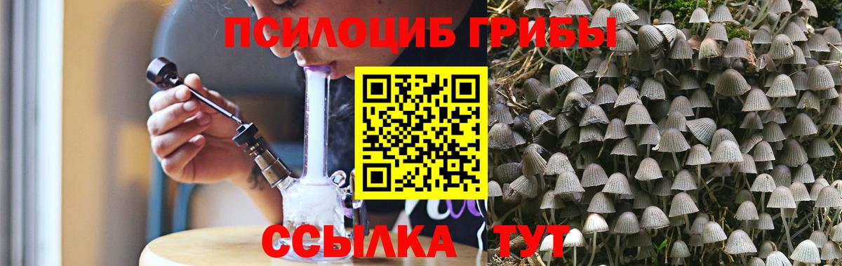 Галлюциногенные грибы Magic Shrooms  Псилоцибиновые грибы Psilocybe  Вход с VPN  Клинцы 